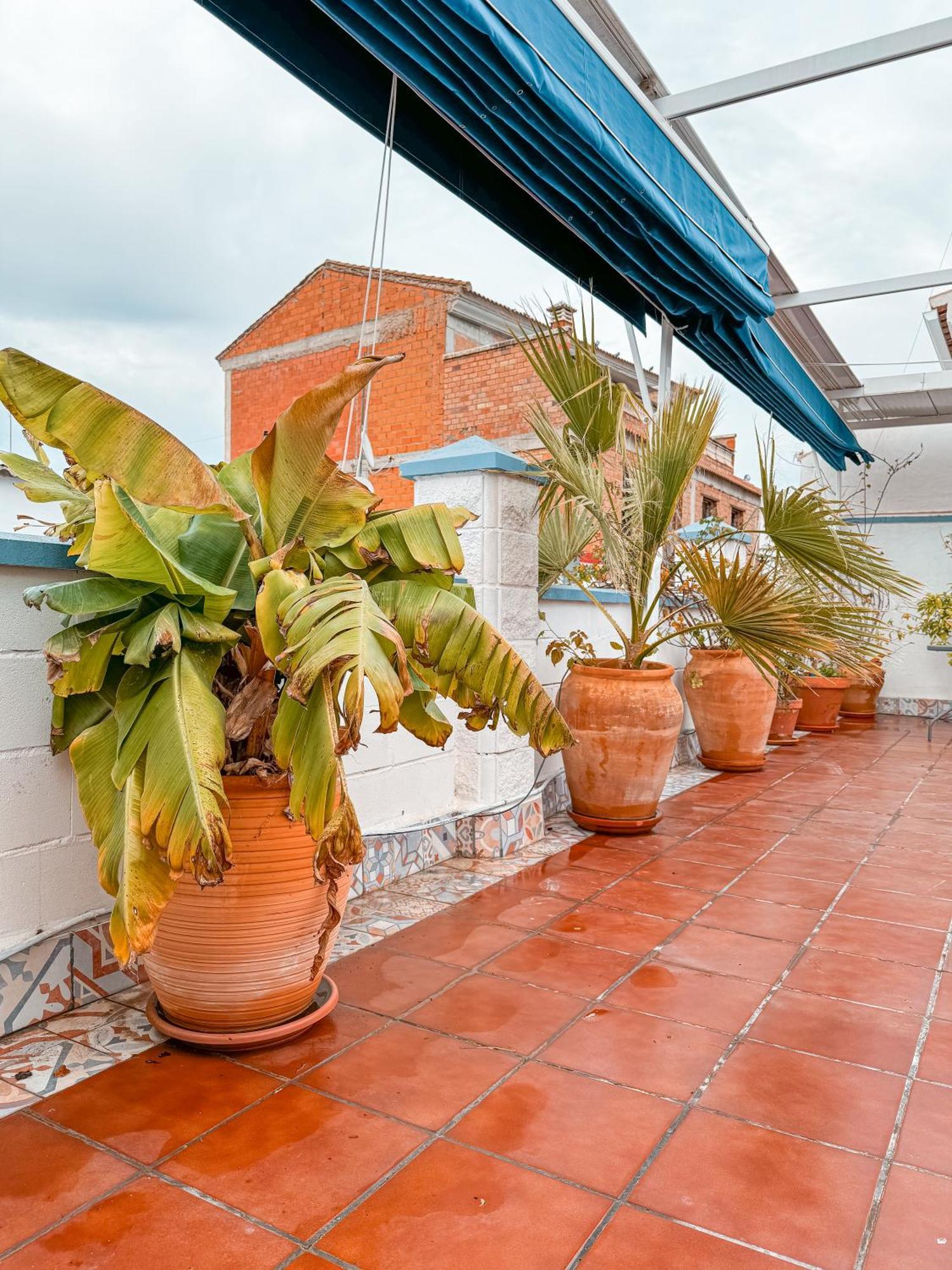 Vila Casa Cruz Almodóvar del Río Exteriér fotografie
