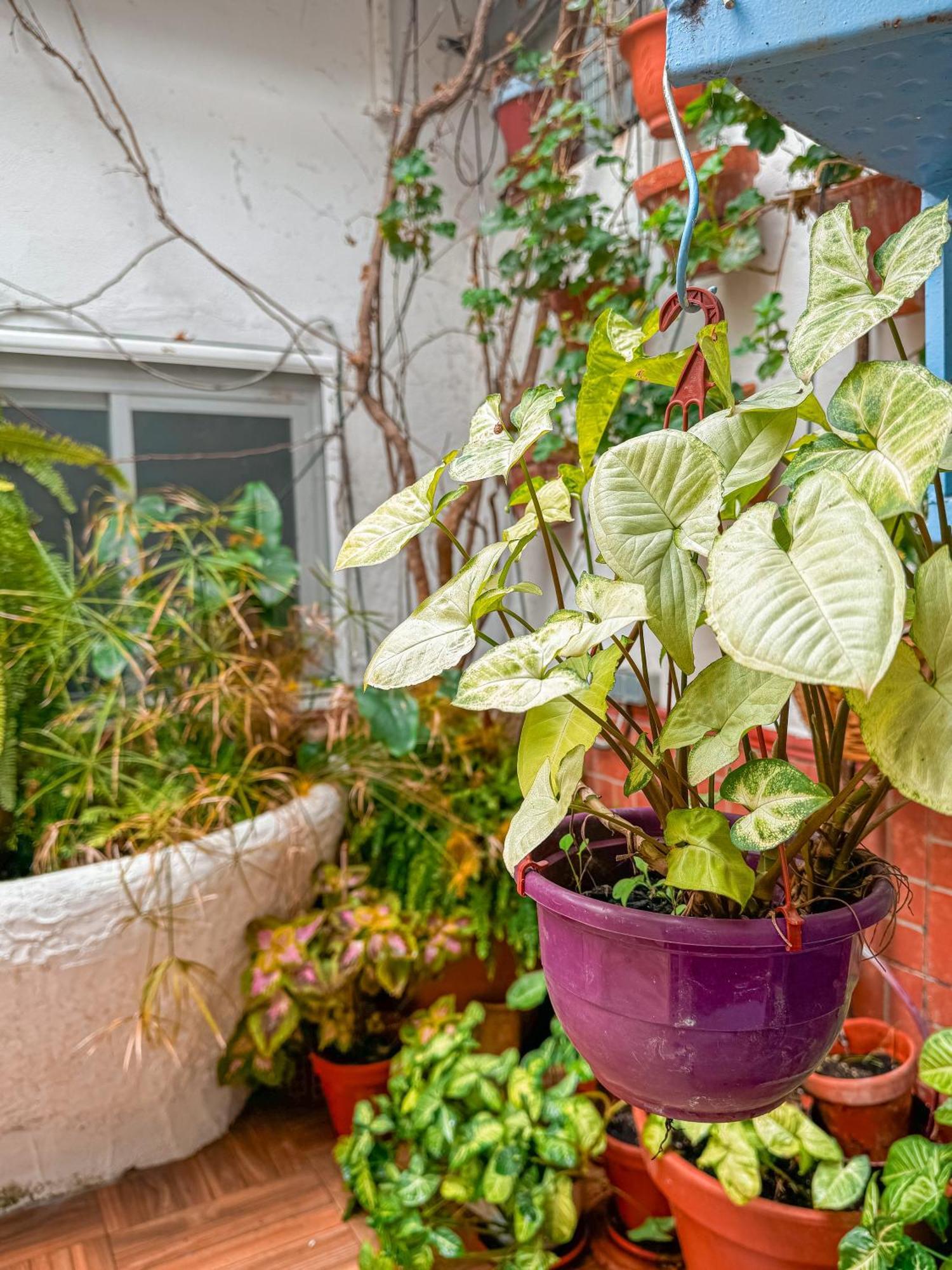Vila Casa Cruz Almodóvar del Río Exteriér fotografie